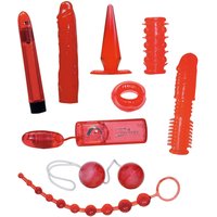 9-teiliges Toyset „Red Roses“