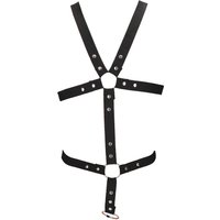 Harness mit Cockring