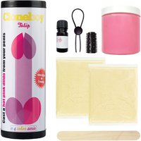 Penis-Abdruck-Set, DIY-Silikondildo